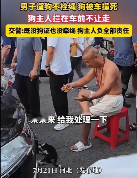 河北，一男子开车正常行驶，突然一条拉布拉多犬溜到车前，躲闪不及，撞了上去，犬只当