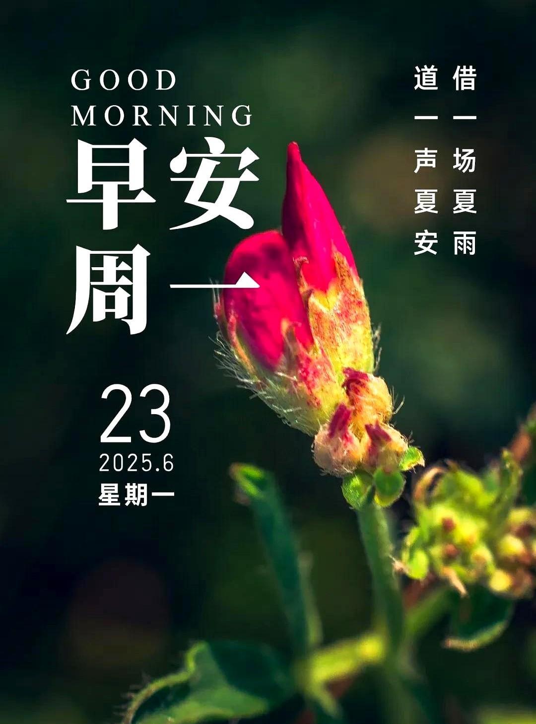 真情本无语，牵挂在心里；相识不容易，缘分永珍惜；人生匆匆几十年，春花秋实成自然。