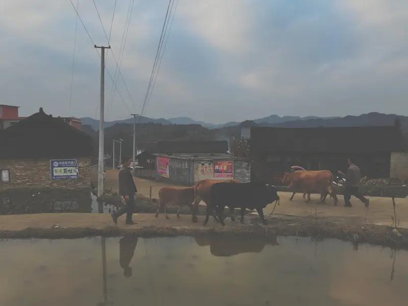 👇痛心！单亲爸爸打铁花成网红，除夕夜一盆炭火夺命，留下俩幼女全网破防