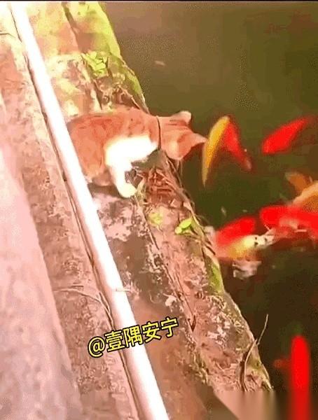 眼瞅着就要到手的好东西，就因为自己一激动，哐当一下，全完了。真的，我今天算是亲