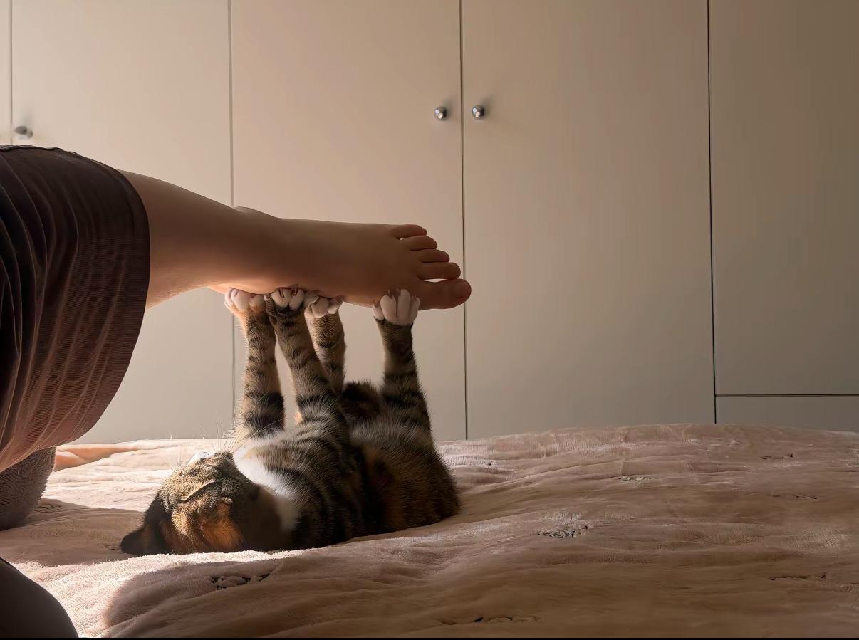 猫咪：跟主人一起运动