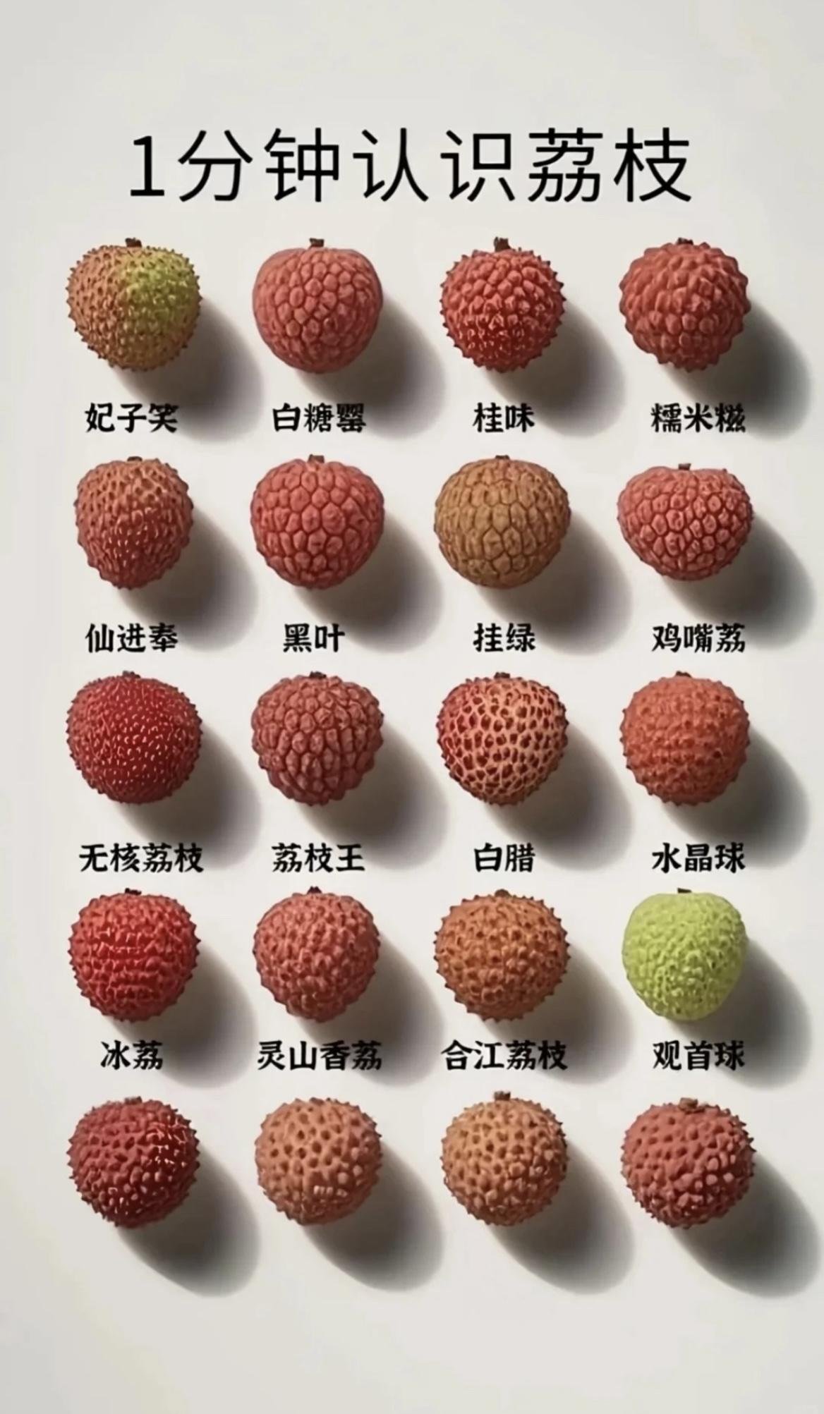 原来荔枝有这么多的品种，你知道吗？看看你还认识哪些荔枝的新品种，评论区分享一下