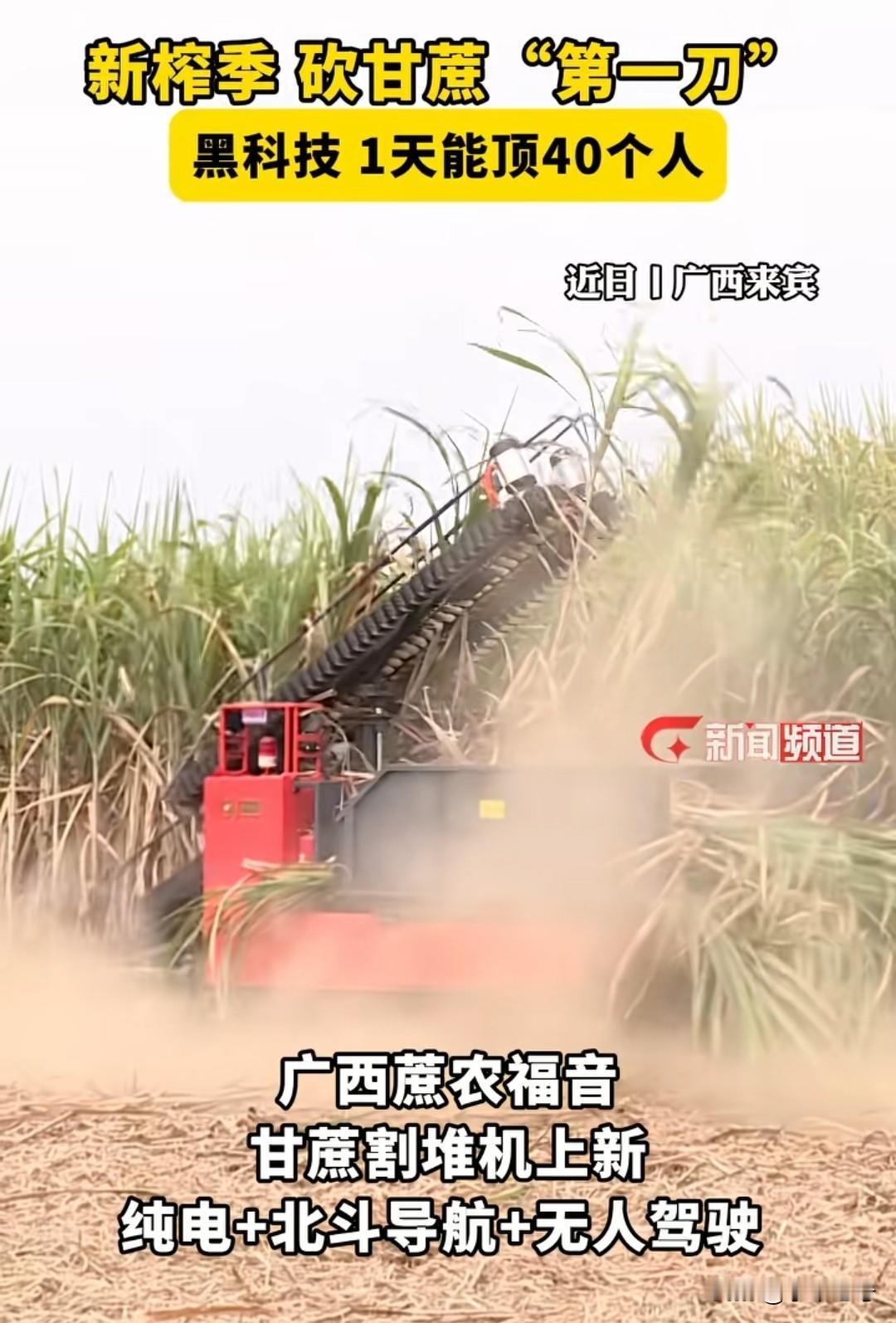 现在广西砍甘蔗都用上高科技了，以后怕是不敢说没工作了就回广西砍甘蔗了吧最近