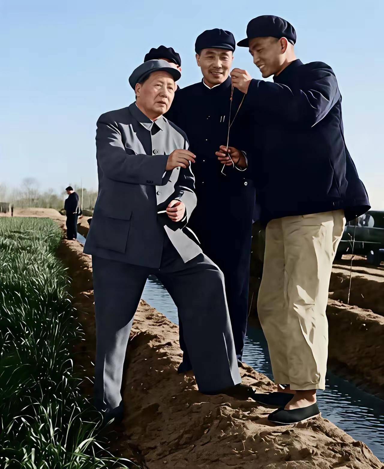 1959年4月12日，毛主席到河北省邢台市郊，考察冬小麦的长势，邢台县县长张玉美