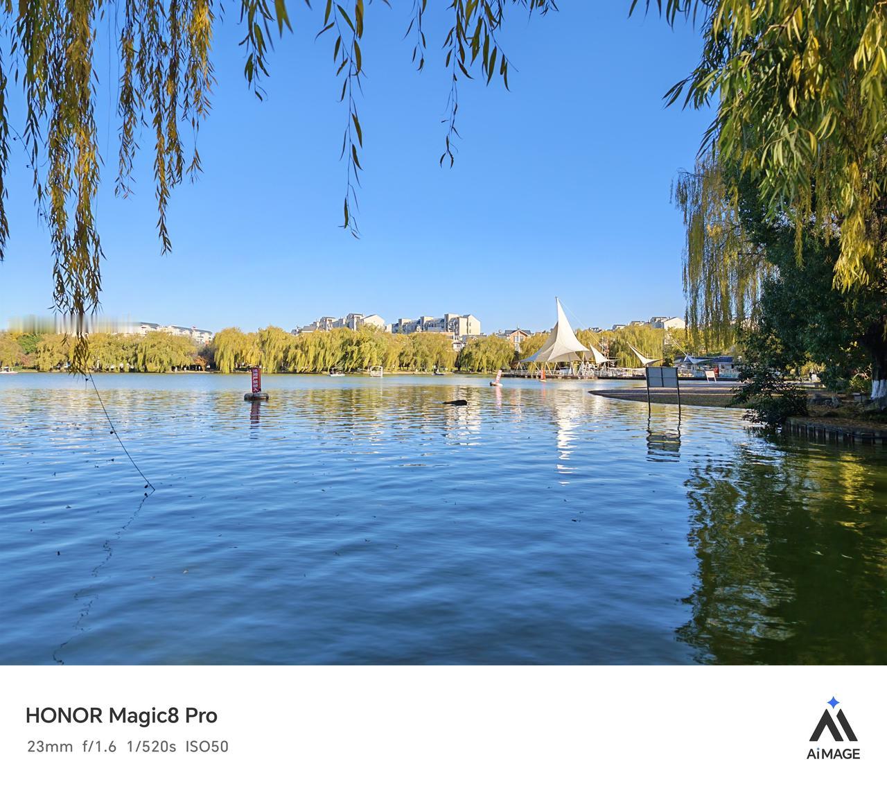 用了一个多月的荣耀Magic8Pro，讲真，真的很喜欢长焦，实在是太给力了，不