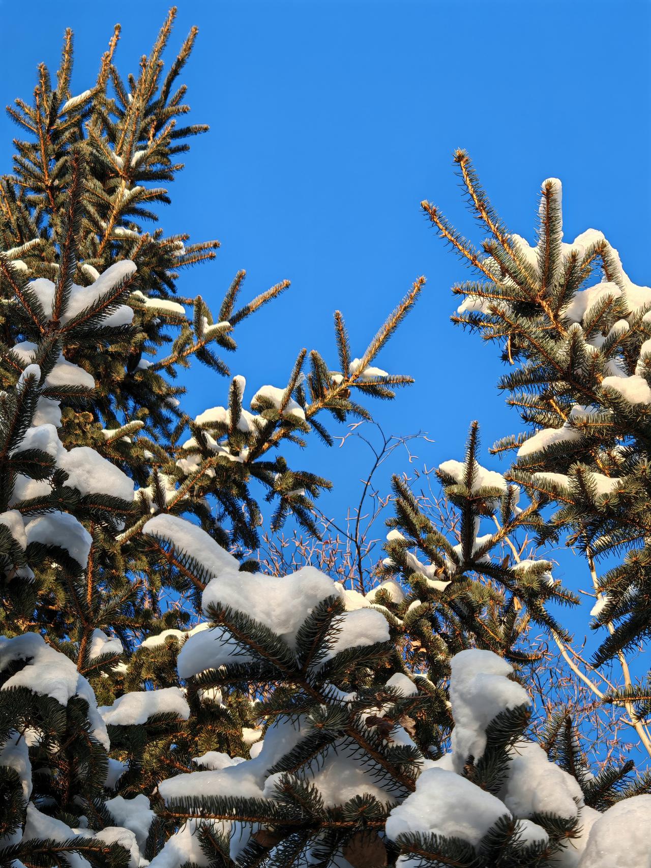 与痛风斗争的历程134今天晨起，双肘莫名麻木，抬臂都觉费力；左肩不适