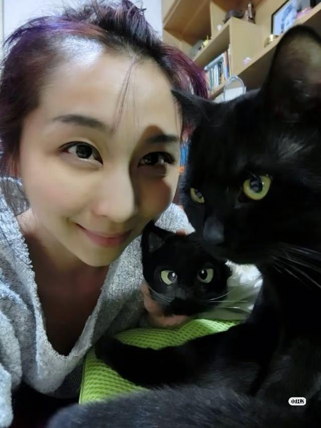 终于看明白了，为什么裴秩为什么不敢写自己的本科，不是因为不出名，而是因为天津