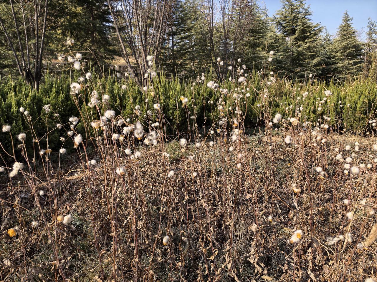 趁阳光正好，午饭后我决定来一次说走就走的骑行。我选择沿涧河溯流而上，这是我多次