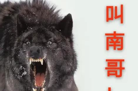 之前南通队几场恶战看下来，一下子拉高了胃口，以至于跟镇江队的比赛缺少了激情，这场