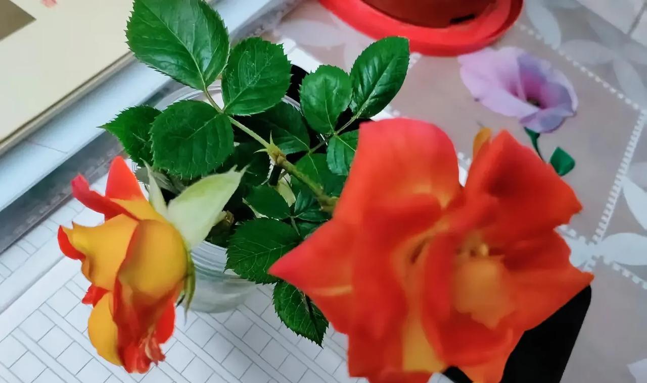 别人如何对你，都是你允许的！所以别再给别人机会踩着你的底线，继续往下，否则没你好