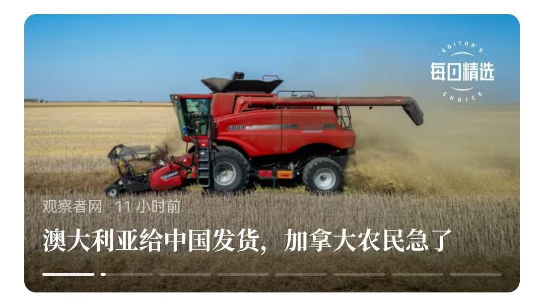 加拿大农民急了，正在反对加拿大当局。加拿大广播公司（CBC）报道，加拿