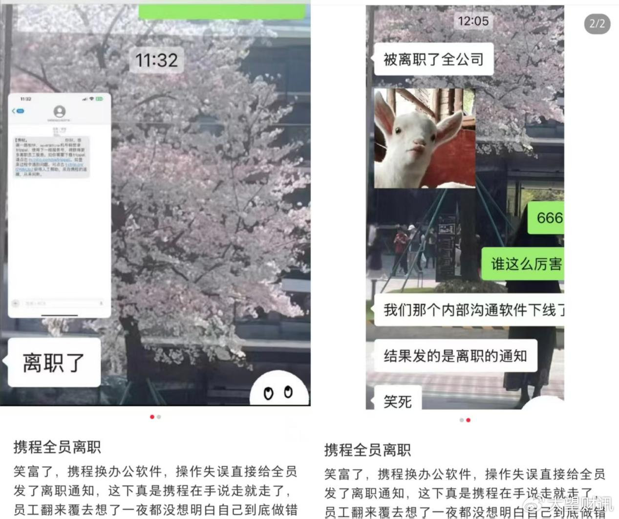 眼见携程起高楼, 眼见携程被立案查