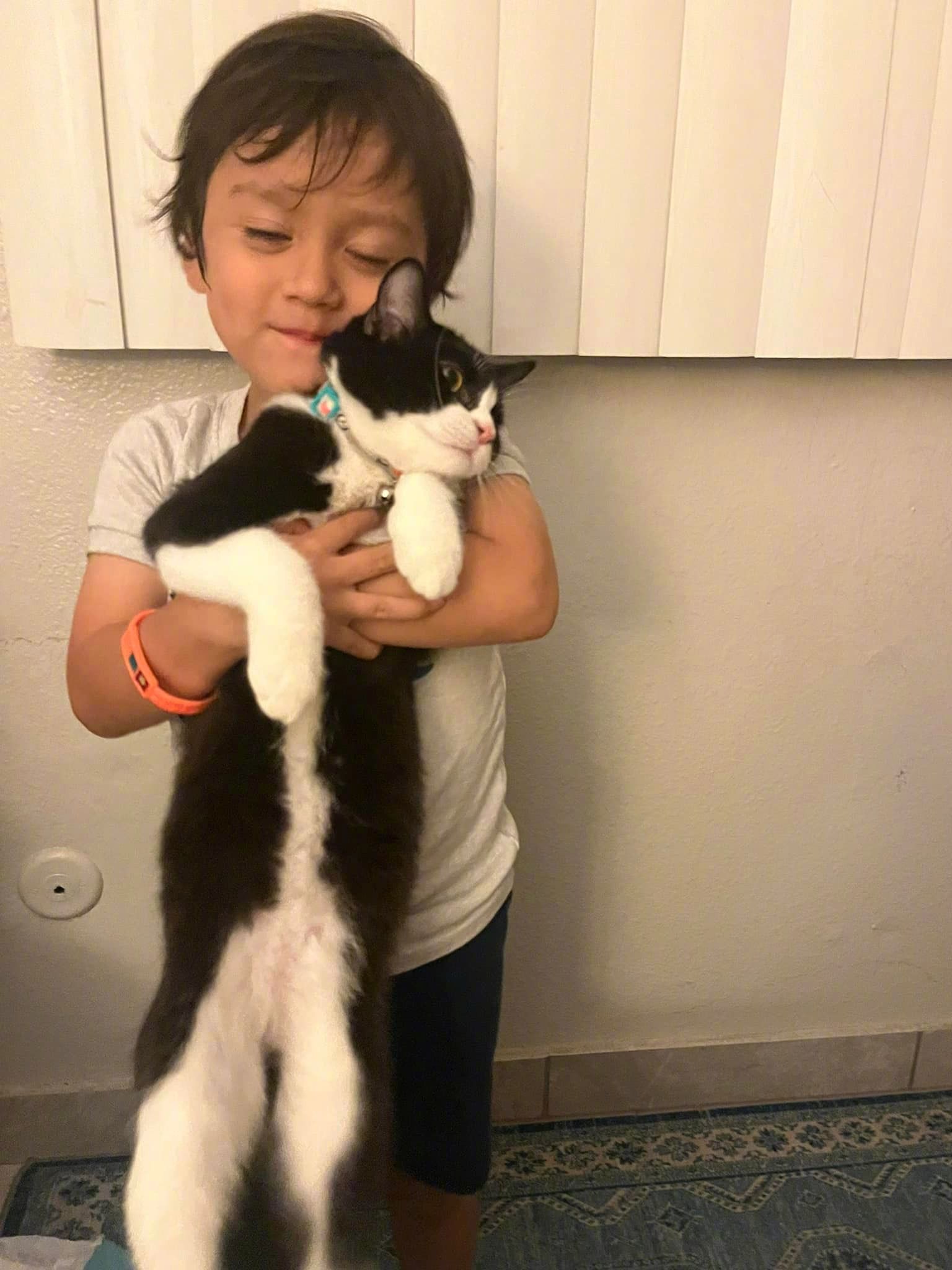 小主人抱着猫，它全程就一个表情，好想逃走（KittyLopez）​​​