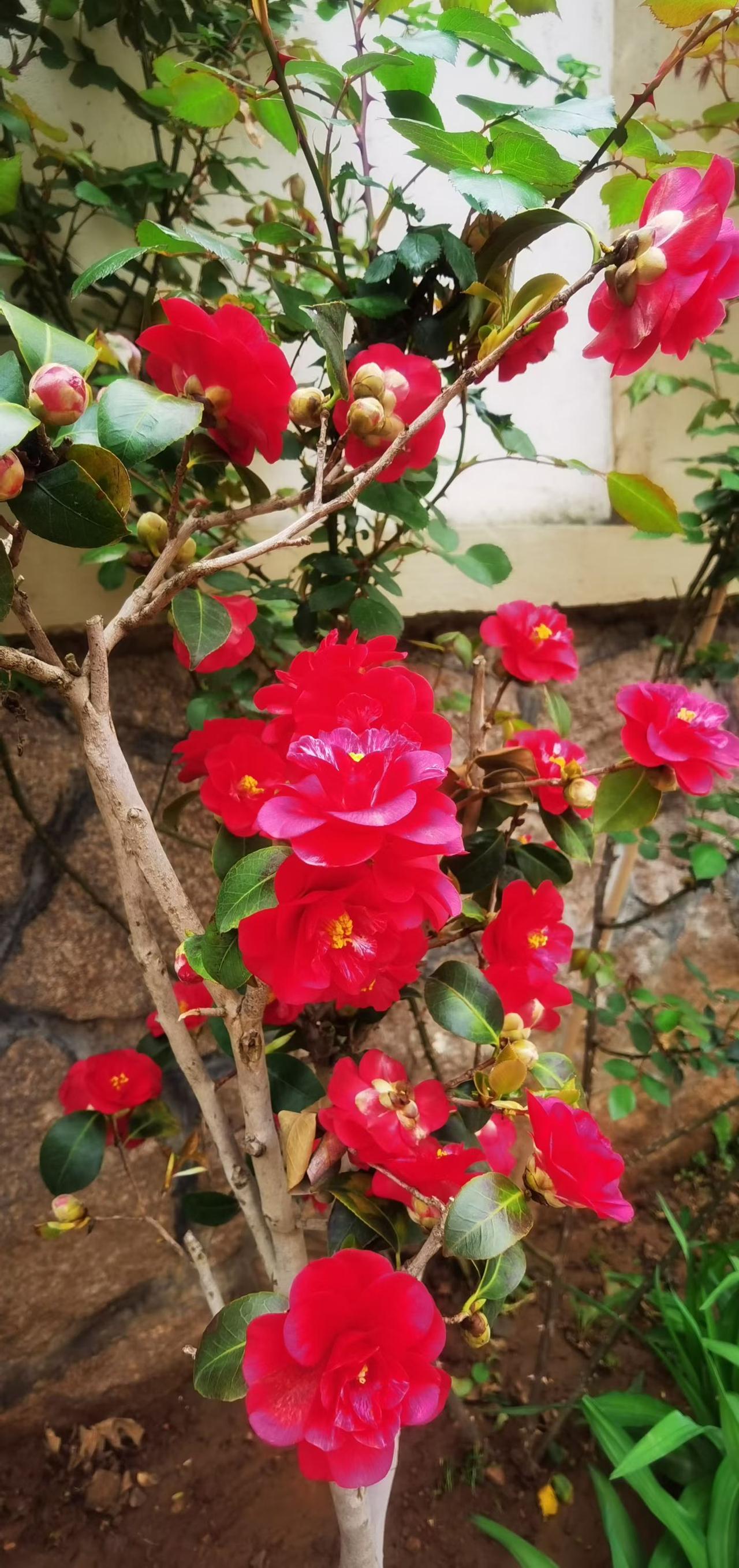 男人最难戒掉的瘾：第一：色瘾。第二：烟瘾。第三：酒瘾。第四：赌瘾。第五