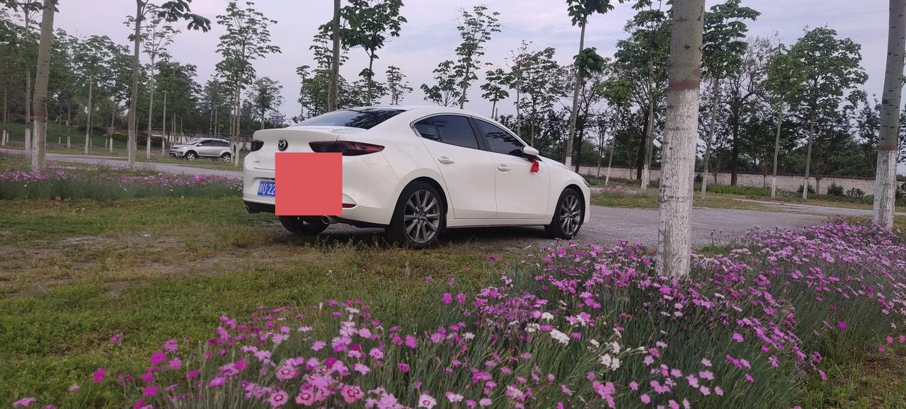 提车2月和大家分享一下用车经验