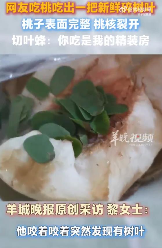 彻底解释不清了！北京，女子买桃子吃，结果刚咬了一口，就发现不对劲！不是因为桃子坏