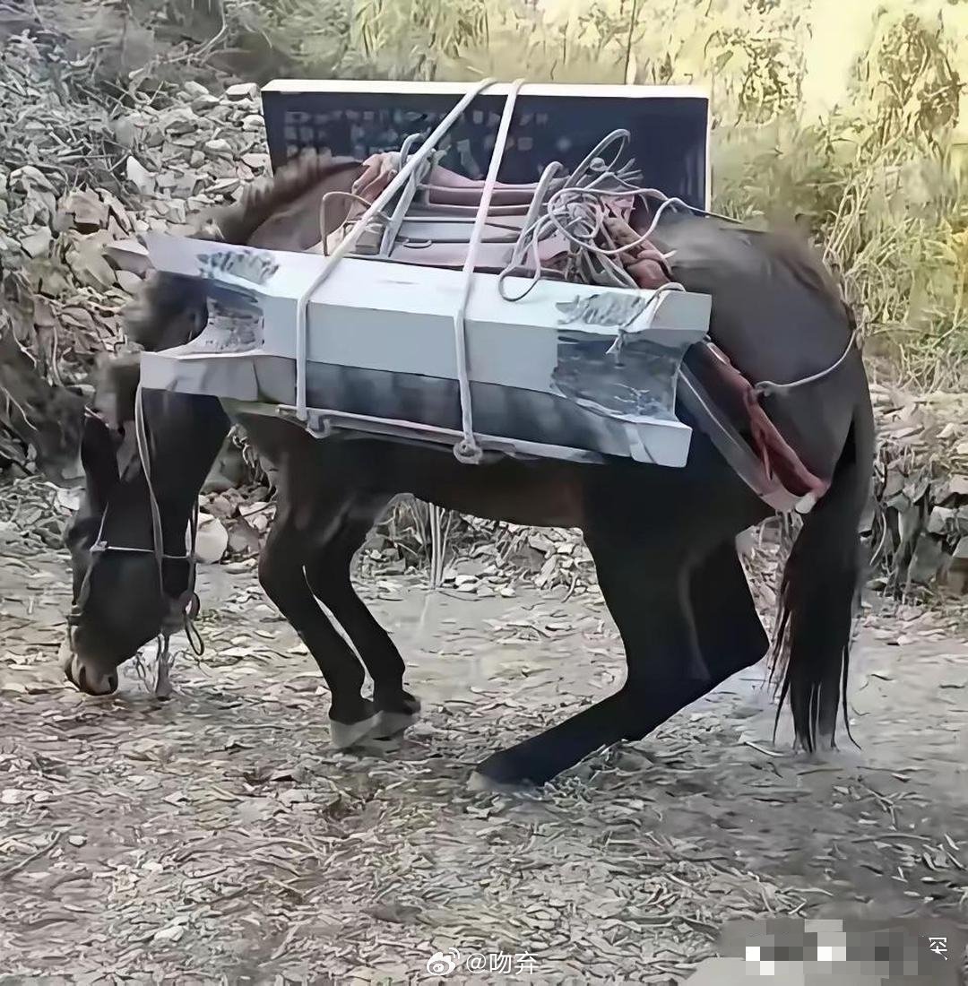 这画面，看一次难受一次