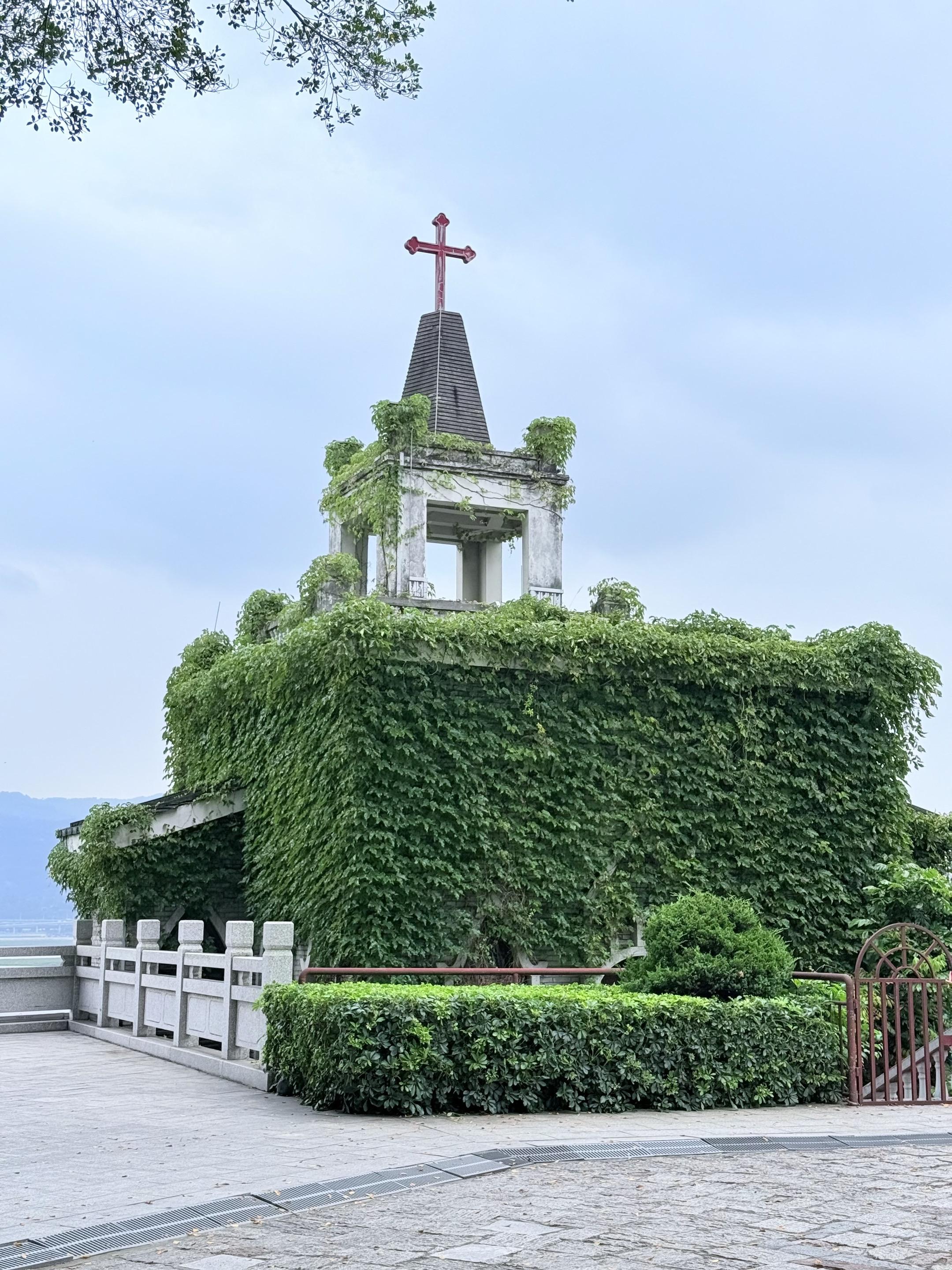 《倾心已久》by非木非石。商仪（女主）和陆吟迟（男主）相亲认识，婚姻两...