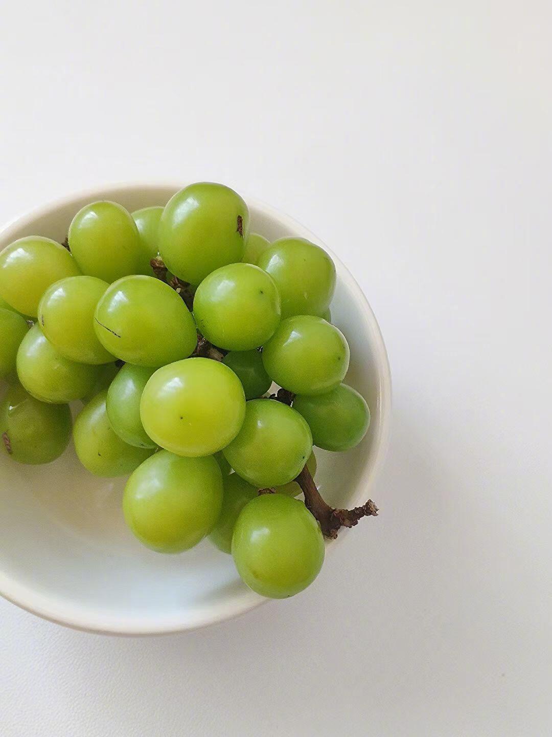 ⁺♡̶₊⁺⑉𝐩𝐥𝐨𝐠𝐠𝐠🍇📸幸福总在平凡日子里发着芽🌱