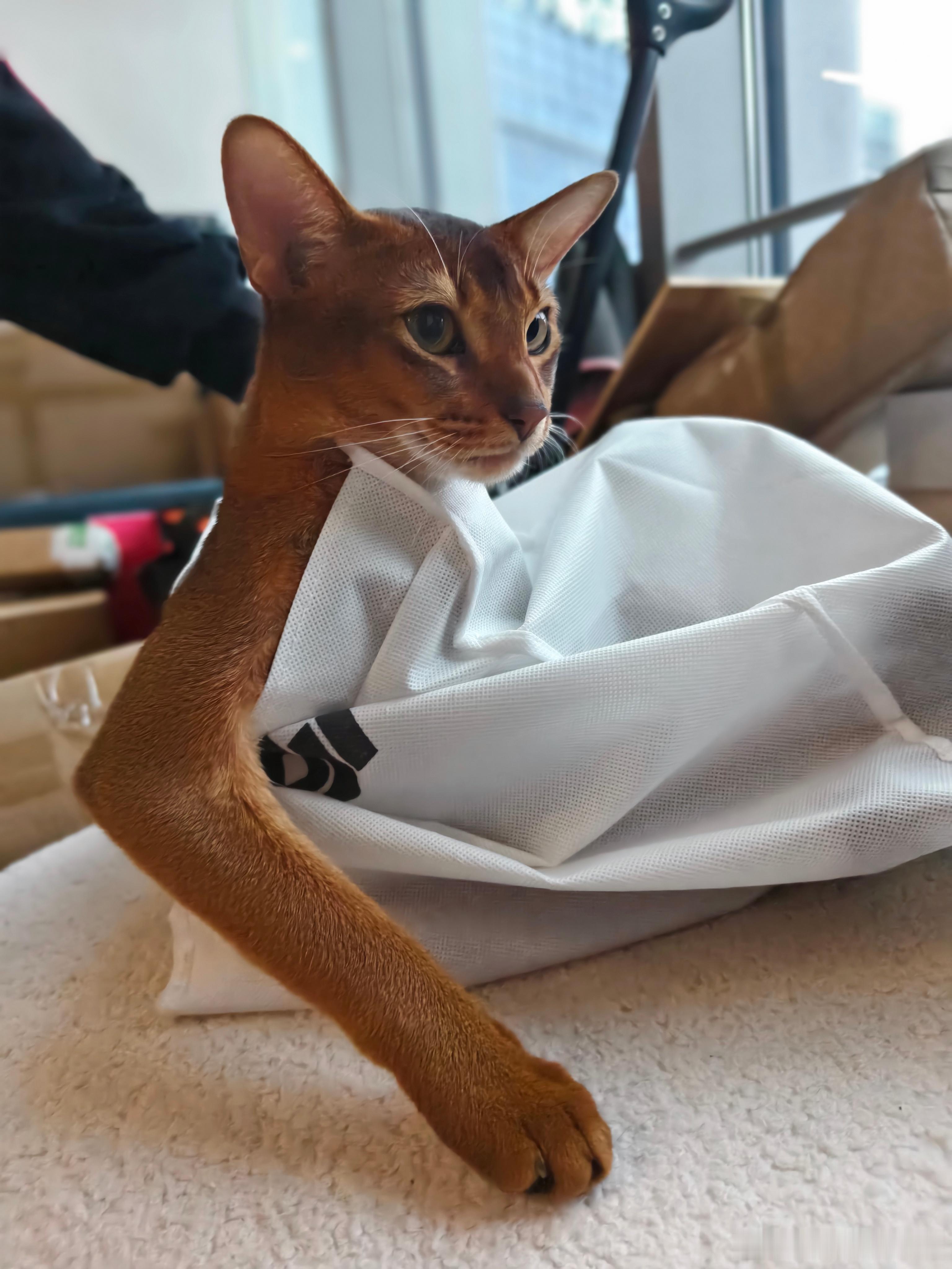 和世界名画有异曲同工之妙[doge]​​​