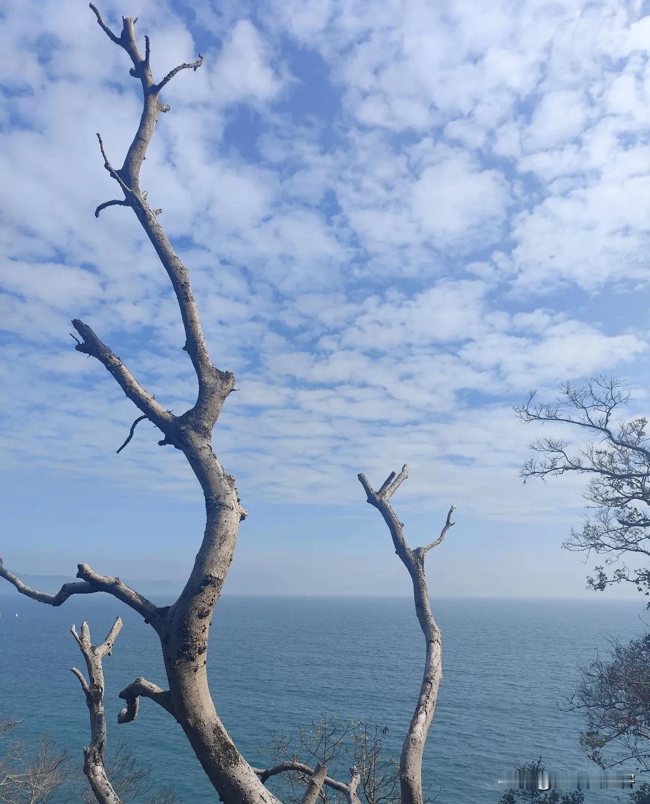 现在的医学真的太厉害了，厉害到能把死亡硬生生拖成一场漫长又磨人的拉扯。呼吸机