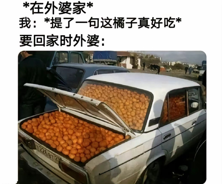 当你提了一句这橘子真好吃时