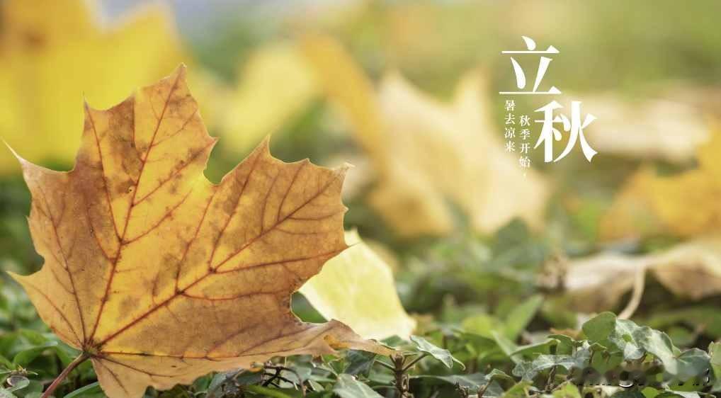 “立秋吃三鲜，一年病不粘”，立秋后多吃这三鲜，应季而食身体棒转眼立秋已过，