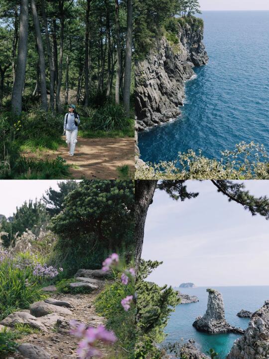 国家地理力荐❗️13km浓缩了济州岛90%的美景