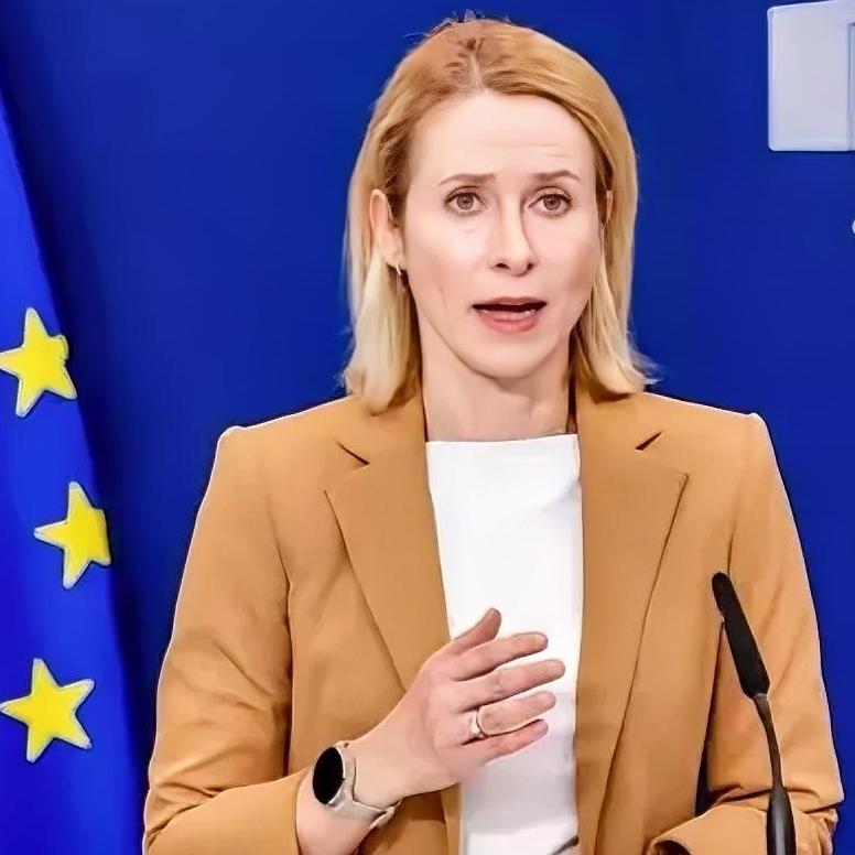 欧盟那位女外长卡拉斯，似乎每天的主要精力就是找茬俄罗斯，这不又有新发现近日，