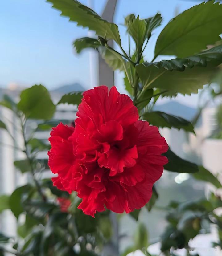 离婚两年多了，这两年孩子生病看病都是我掏钱。按离婚协议本来医药费也是他支付的