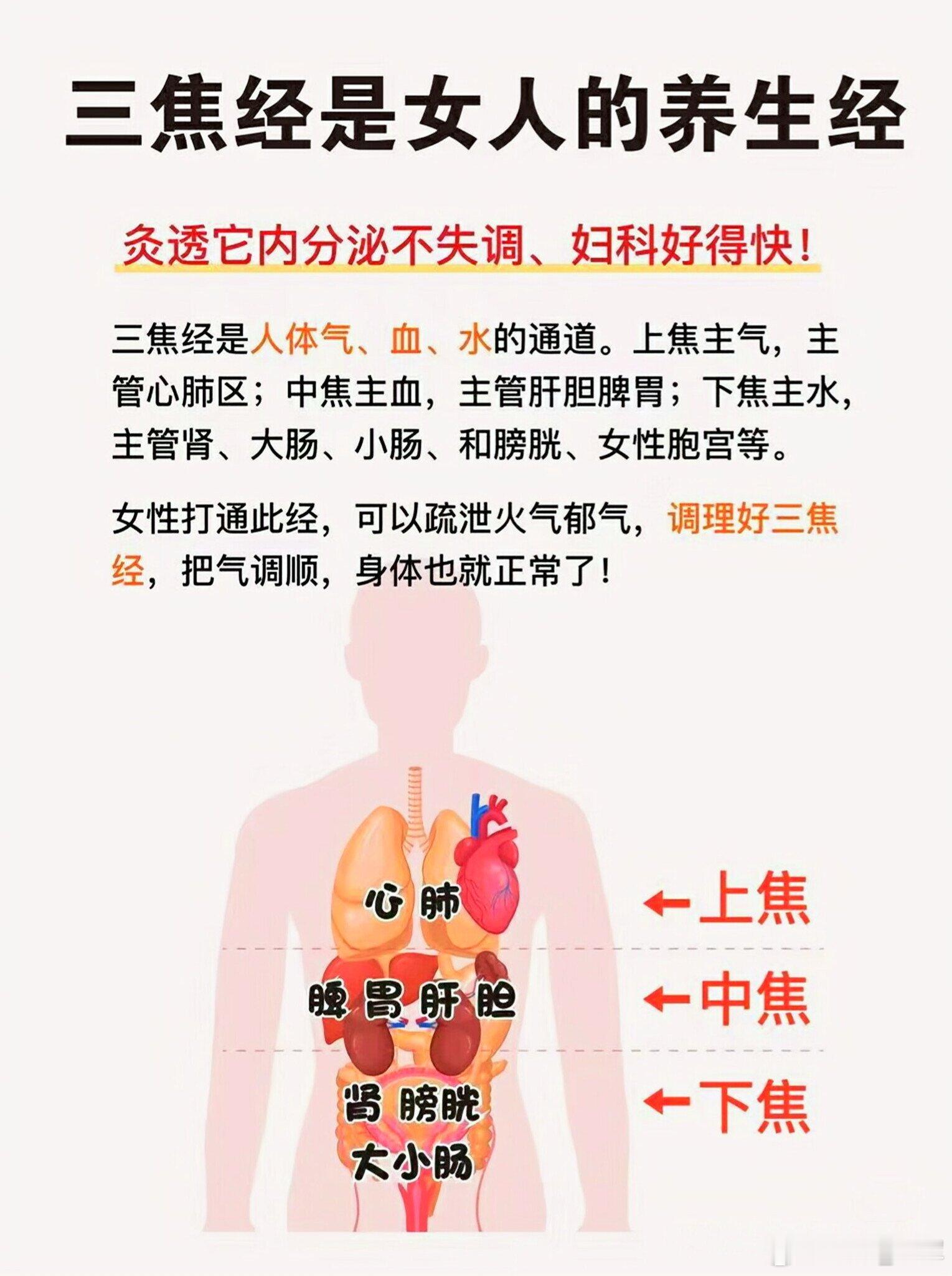 中医“三焦灸”，助您从头到脚调气血在明代经典医著《医学入门》中，有这样一句名言：