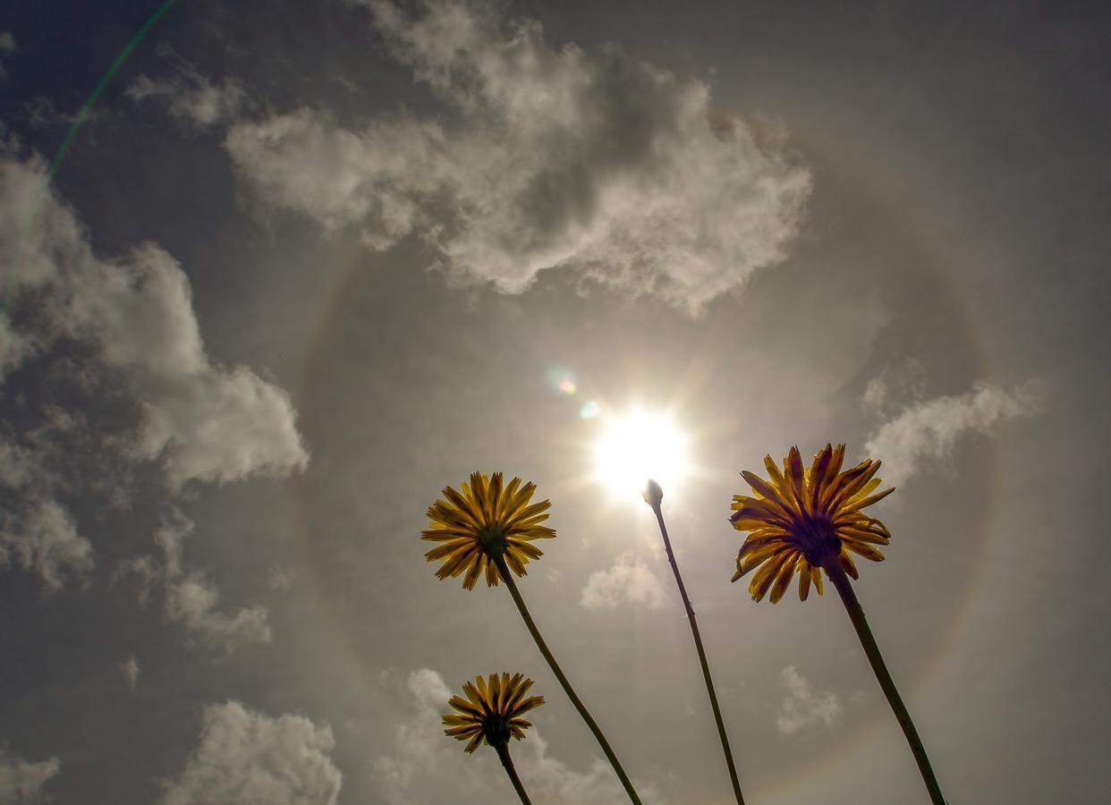 我舅舅娶了两次媳妇，第一个舅妈生了一个男孩，就生病走了。后来，我舅舅又娶了现在这