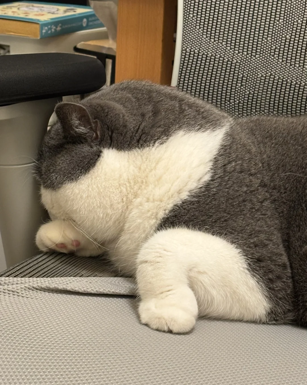 这是什么造型啊🤔