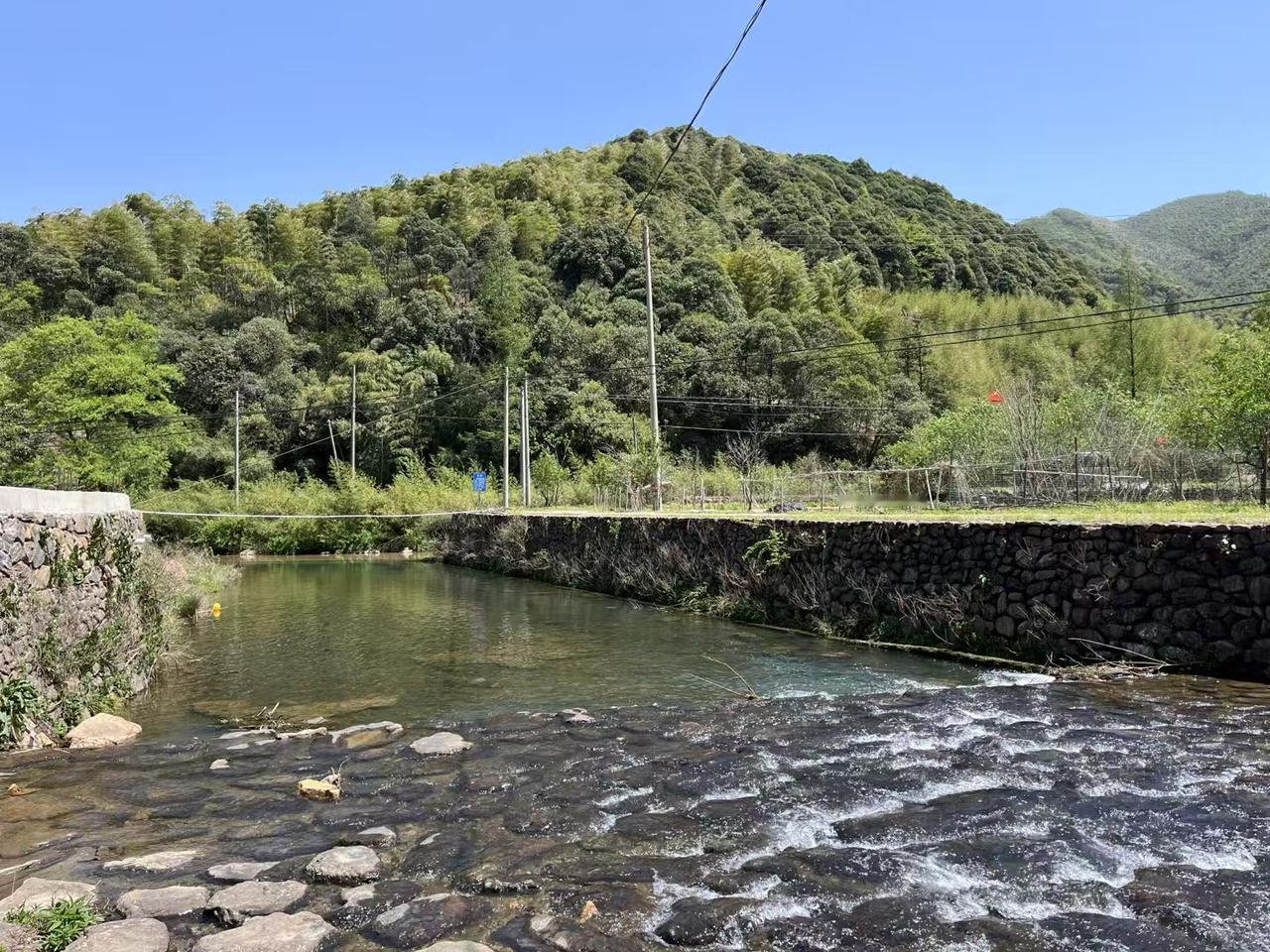 可以分享一张最美湖面的照片吗碧波荡漾，湖畔风景秀丽。
