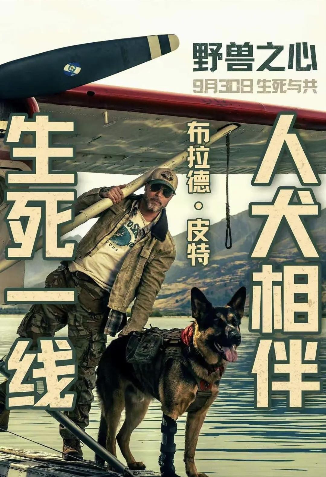 目前电影国庆档五部新片：1，布拉德皮特《野兽之心2，张译、马丽《神探之痕迹》