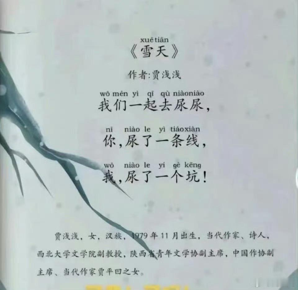 西北大学回应贾浅浅更改简历《学历》你读一个博，我读一个博，你读的博深，我读的博