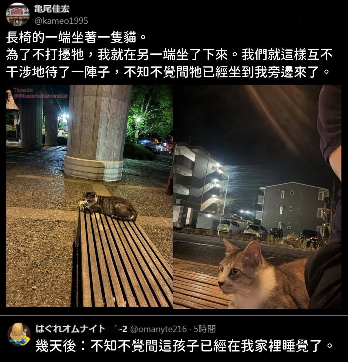 猫猫磁铁meme