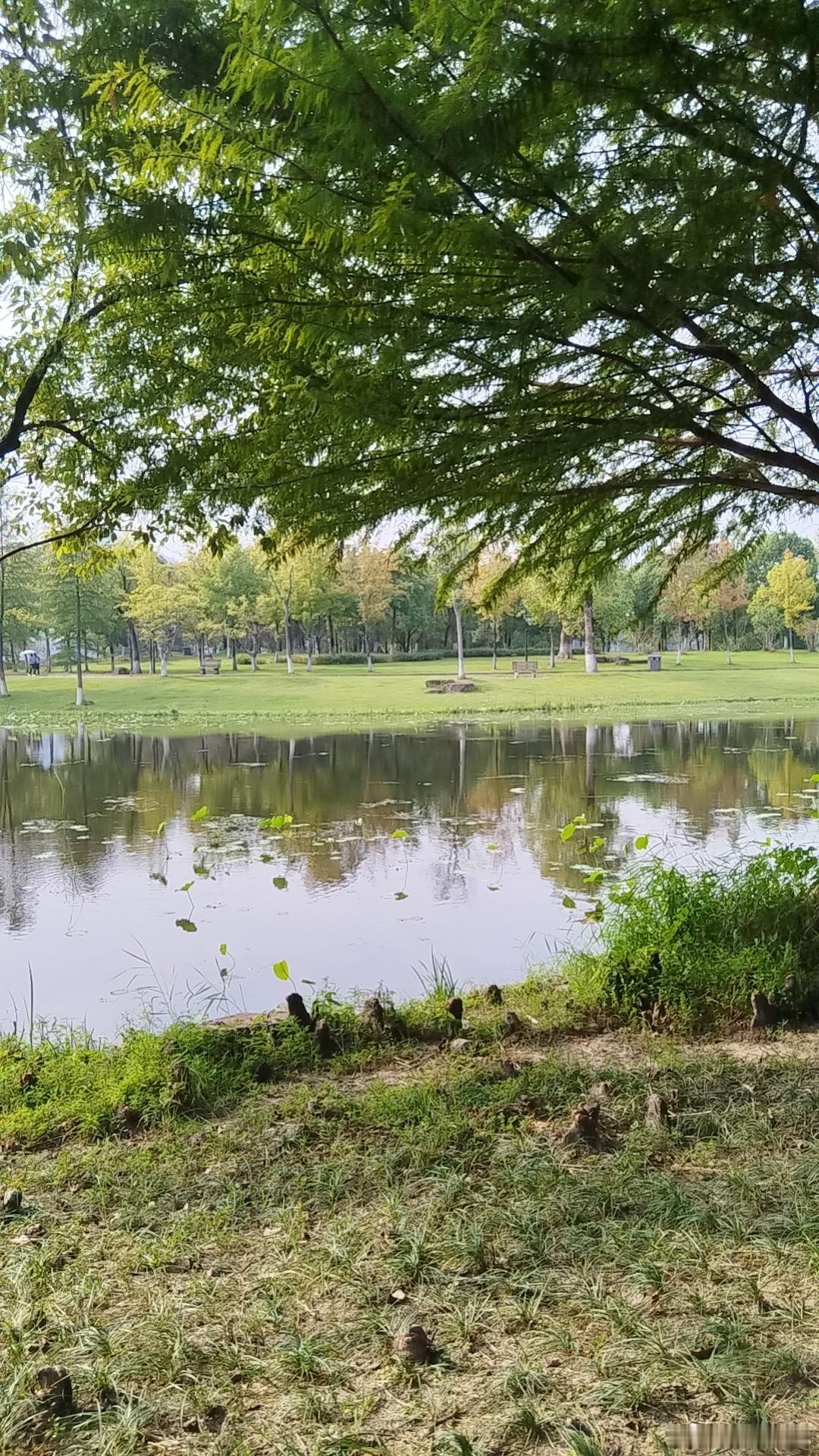四柱中，堵的越很，盲区就越大。刚柔清浊、寒热燥湿，其中任何一个维度有偏，都会堵。比如处女座♍，没有水
