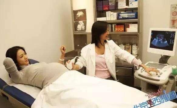 宝宝在子宫内发育全过程