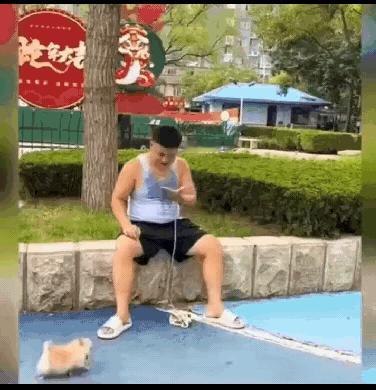 小狗：快放开我，都是汗臭味[捂脸哭]