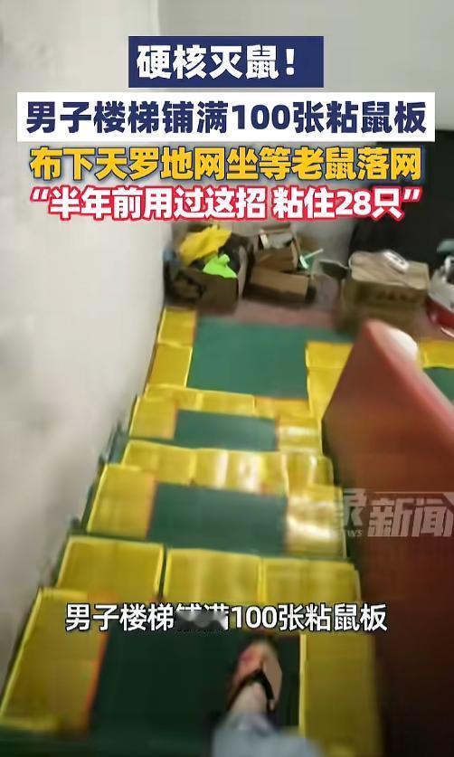 “硬核灭鼠！”5月1日报道，广东东莞，一男子为了抓老鼠，在自家店铺内大摆捕鼠大阵