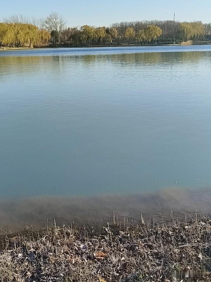 我对报应一说，半信半疑，因为见过太多身边缺德之人，活的风平浪静，反而那些处处与人