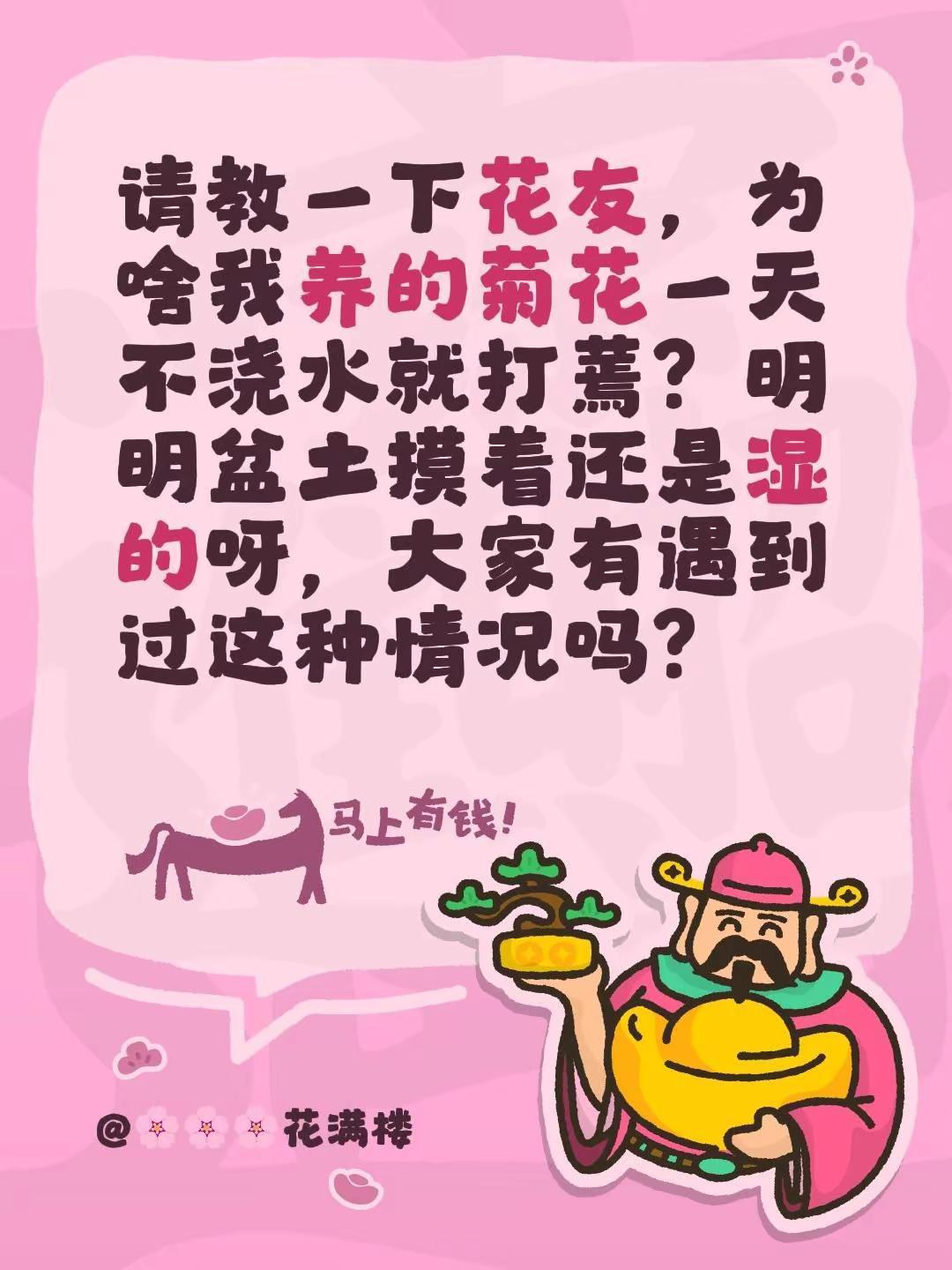请教一下花友，为啥我养的菊花一天不浇水就打蔫？明明盆土摸着还是湿的呀，大家有遇到