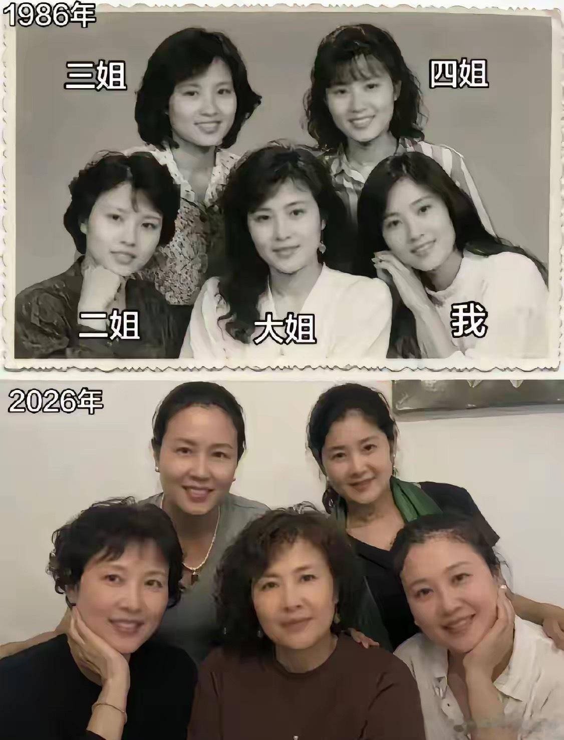 一家子善良美丽，大姐端庄能抗事，二姐机灵，三姐温婉，四姐慧中，您秀气可人。​​