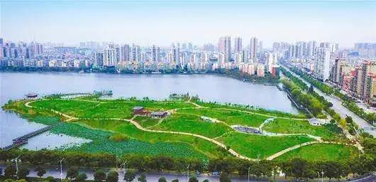 莫斯科人均绿地面积_近三年人均绿地面积