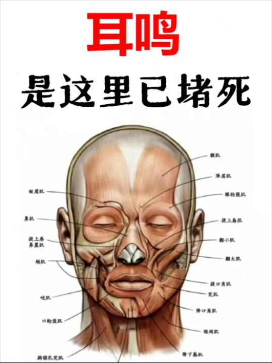 耳鸣不是单纯的"耳朵响"，而是肝火、痰湿、肾虚、血瘀等内在问题在耳窍上...