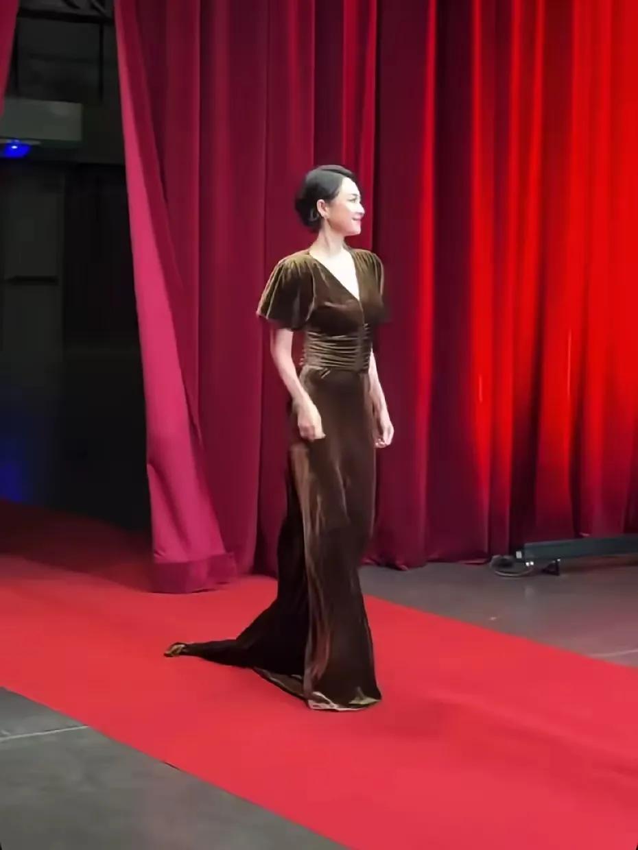 谁被章子怡这组红毯图美到了！法国卢米埃尔电影节出场，深棕色丝绒礼服，低调又显贵