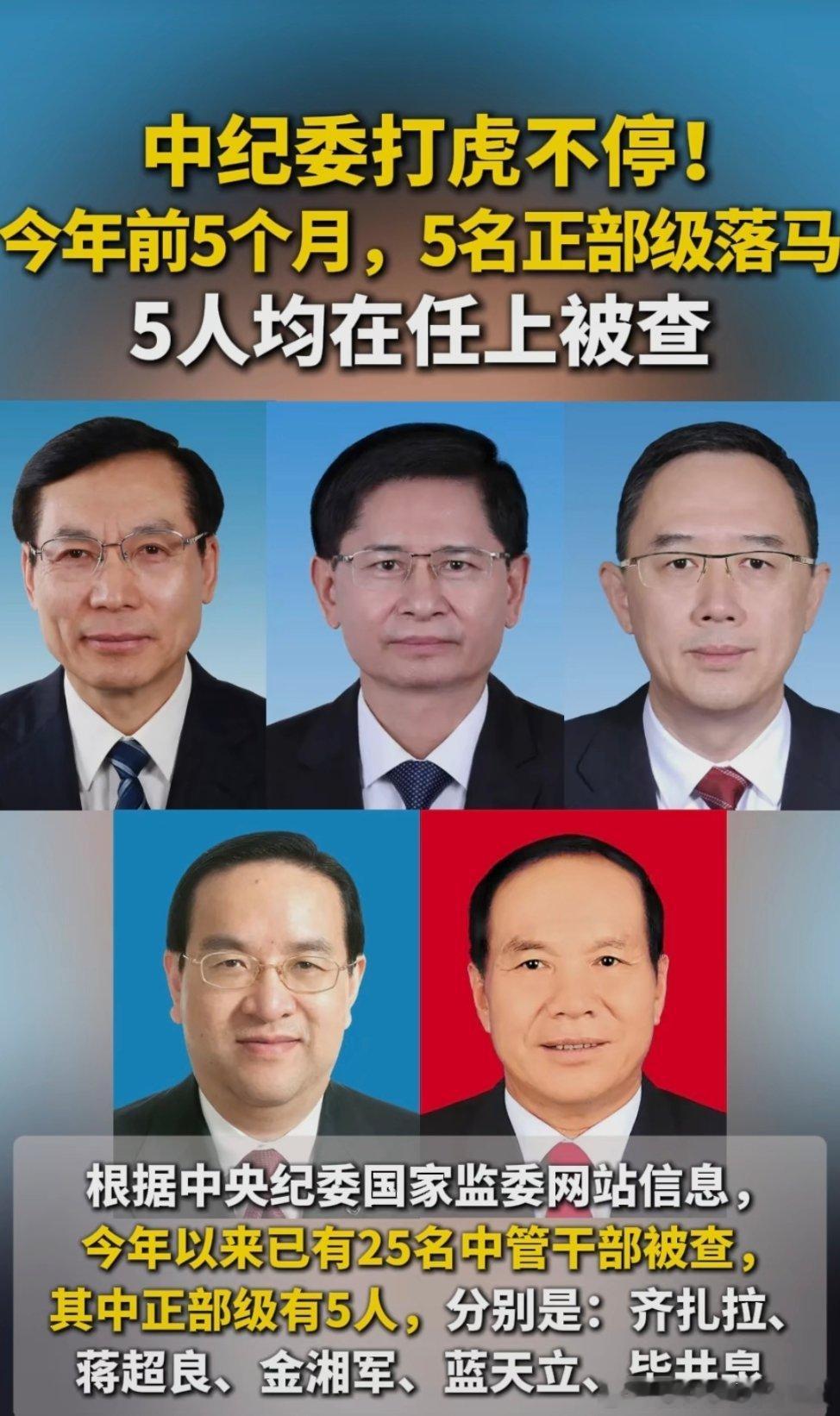 2025年前5个月，先后5名正部落马！​​​