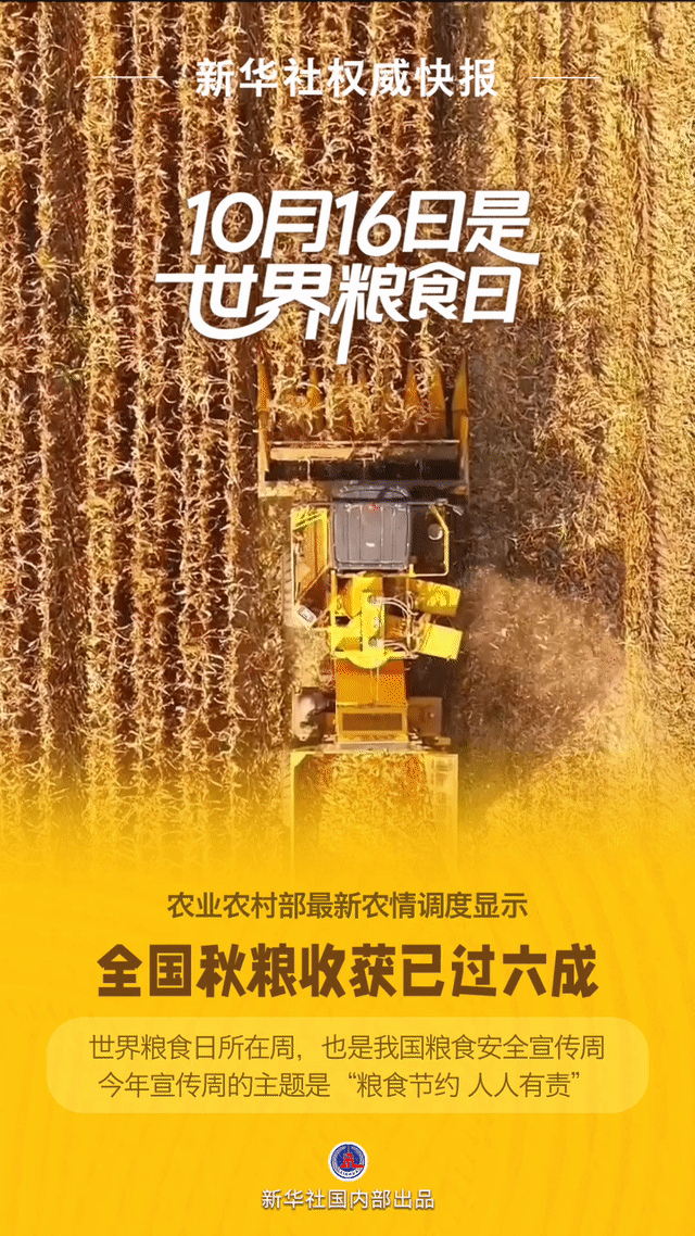 【新华社权威快报|#我国秋粮收获已过六成#】10月16日是世界粮食日。世界粮食日