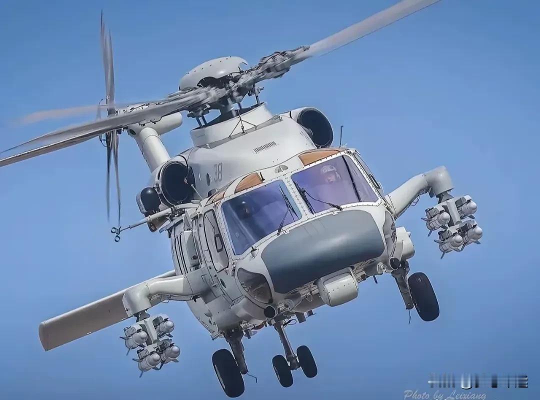 直20的火力可以和阿帕奇拼一拼了吧！它可以带16枚反坦克导弹，或者8枚空对空导